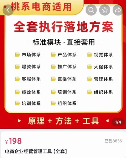 外面卖198·电商企业经营管理工具：全套执行落地方案标准模块·直接套用-生财有道