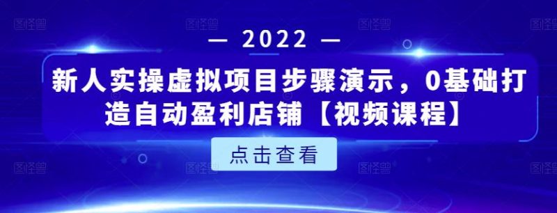 新人实操虚拟项目步骤演示，0基础打造自动盈利店铺【视频课程】-生财有道