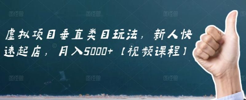 虚拟项目垂直类目玩法，新人快速起店，月入5000+【视频课程】-生财有道