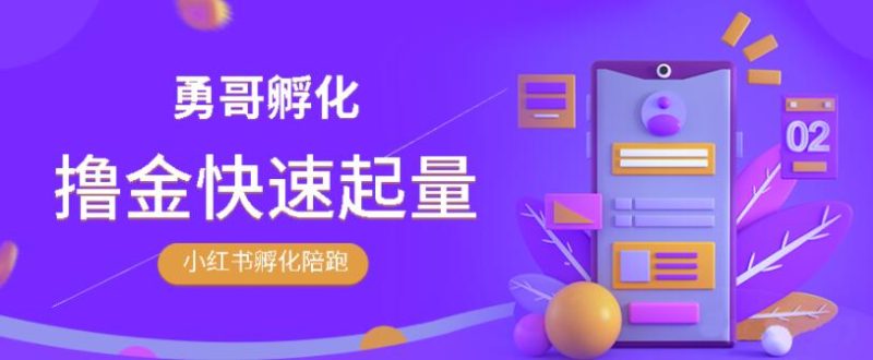 勇哥·小红书撸金快速起量陪跑孵化营，教你在小红书平台实现副业的睡后收入-生财有道