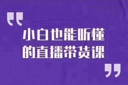 大威本威·小白也能听懂的直播带货课，玩转直播带货，轻松出单-生财有道