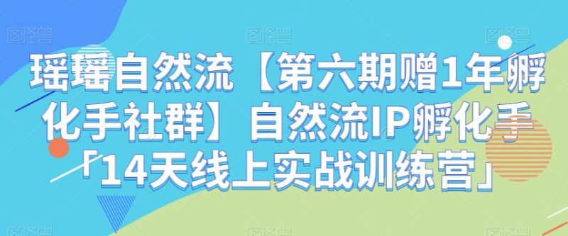 瑶瑶自然流【第六期赠1年孵化手社群】自然流IP孵化手「14天线上实战训练营」-生财有道
