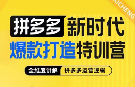 玺承·拼多多新时代爆款打造特训营,全维度讲解拼多多运营逻辑-生财有道
