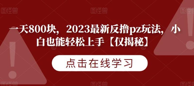 一天800块,2023最新反撸pz玩法,小白也能轻松上手【仅揭秘】-生财有道