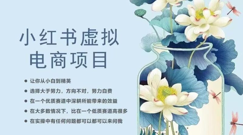 小红书虚拟电商从0到1，让你从小白到精英（20节实操课程）-生财有道