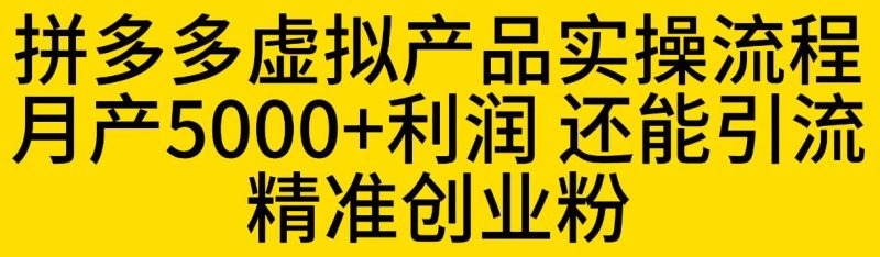 拼多多虚拟产品实操流程，月产5000+利润，还能引流精准创业粉【揭秘】-生财有道
