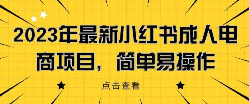 2023年最新小红书成人电商项目,简单易操作【详细教程】【揭秘】-生财有道