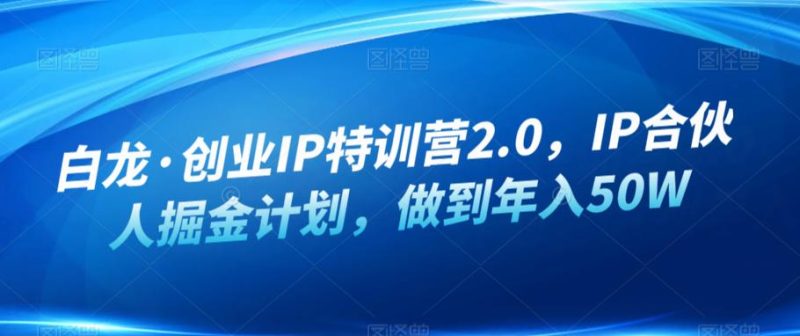白龙·创业IP特训营2.0，IP合伙人掘金计划，做到年入50W-生财有道