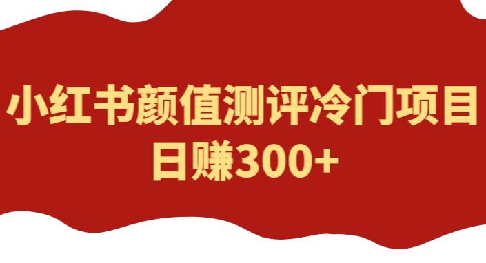 外面1980的项目，小红书颜值测评冷门项目，日赚300+【揭秘】-生财有道