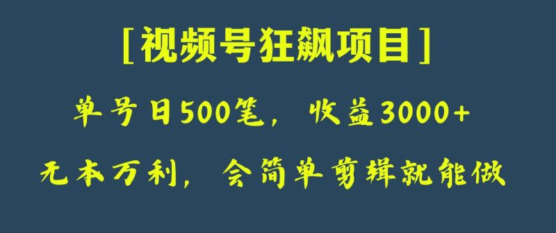 日收款500笔，纯利润3000+，视频号狂飙项目！-生财有道