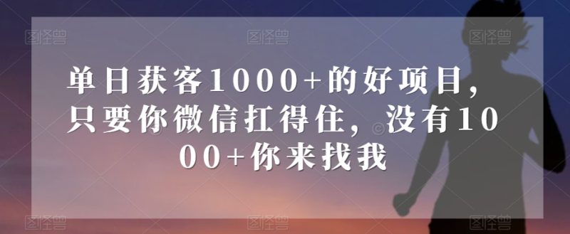 单日获客1000+的好项目,只要你微信扛得住,没有1000+你来找我【揭秘】-生财有道