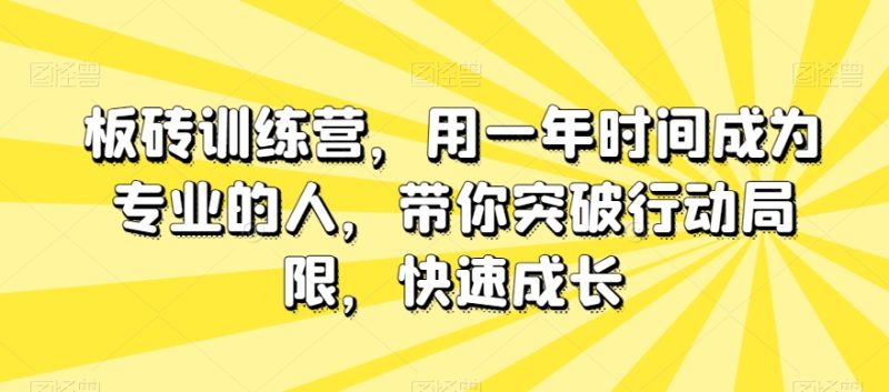 板砖训练营，用一年时间成为专业的人，带你突破行动局限，快速成长-生财有道