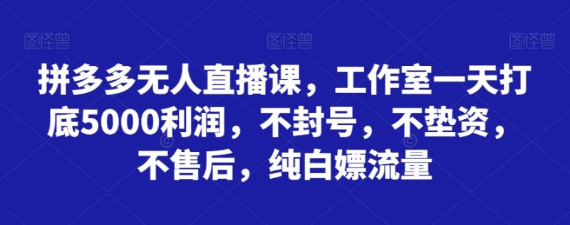 拼多多无人直播课，工作室一天打底5000利润，不封号，不垫资，不售后，纯白嫖流量-生财有道