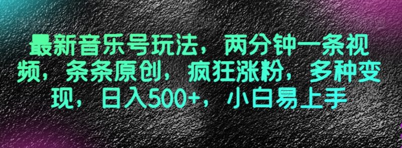 最新音乐号玩法，两分钟一条视频，条条原创，疯狂涨粉，多种变现，日入500+，小白易上手【揭秘】-生财有道