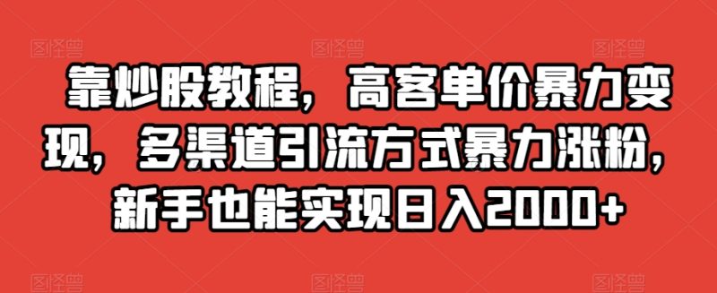 靠炒股教程，高客单价暴力变现，多渠道引流方式暴力涨粉，新手也能实现日入2000+【揭秘】-生财有道