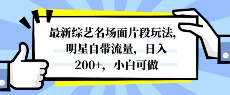 最新综艺名场面片段玩法，明星自带流量，日入200+，小白可做【揭秘】-生财有道