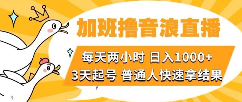 加班撸音浪直播，每天两小时，日入1000+，直播话术才3句，3天起号，普通人快速拿结果【揭秘】-生财有道