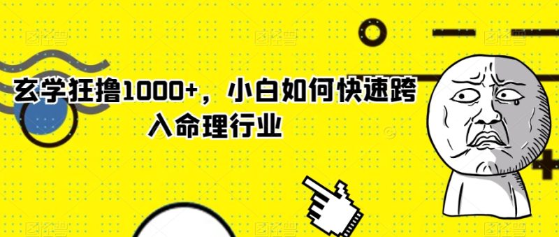 玄学狂撸1000+，小白如何快速跨入命理行业【揭秘】-生财有道