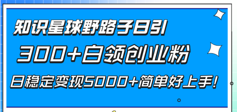 （8315期）知识星球野路子日引300+白领创业粉，日稳定变现5000+简单好上手！-生财有道