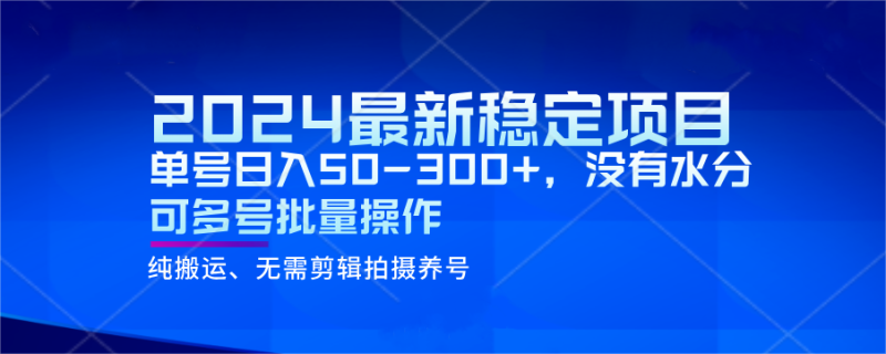 2024最新稳定风口项目,单号日入50-300+,没有水分 可多号批量操作-生财有道