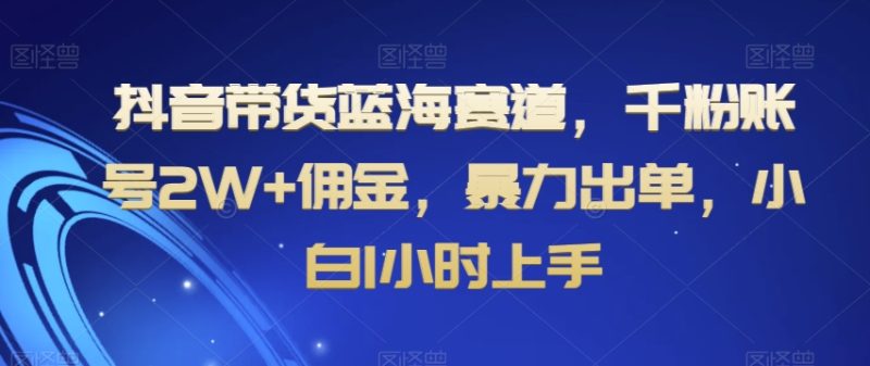 抖音带货蓝海赛道，千粉账号2W+佣金，暴力出单，小白1小时上手【揭秘】-生财有道