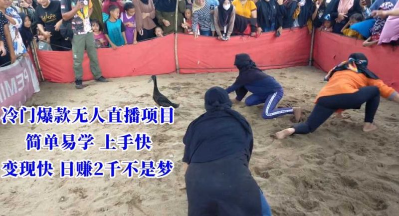 冷门爆款无人直播项目，简单易学上手快，变现快日赚2千不是梦【揭秘】-生财有道