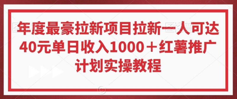 年度最豪拉新项目拉新一人可达40元单日收入1000＋红薯推广计划实操教程【揭秘】-生财有道