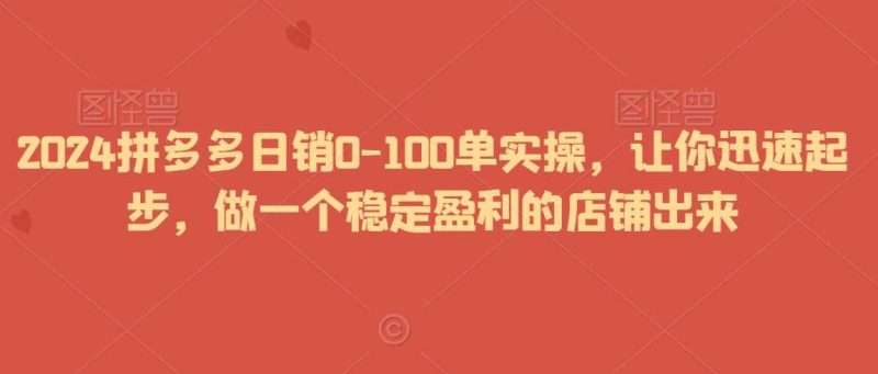 2024拼多多日销0-100单实操,让你迅速起步,做一个稳定盈利的店铺出来-生财有道