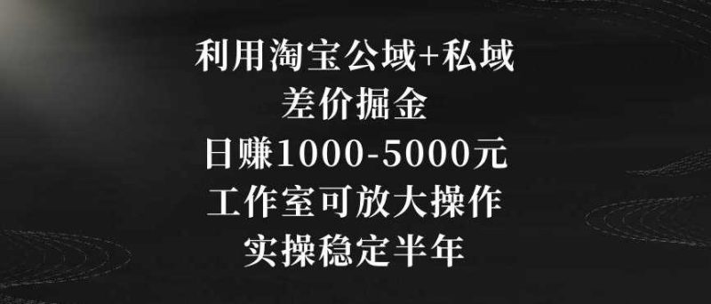 利用淘宝公域+私域差价掘金，日赚1000-5000元，工作室可放大操作，实操稳定半年【揭秘】-生财有道
