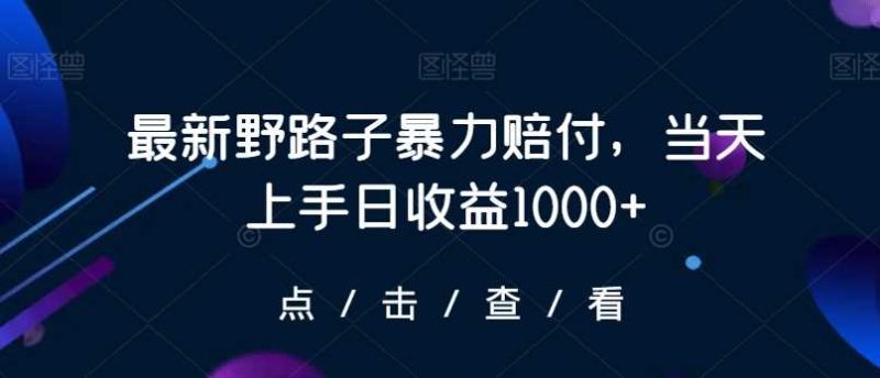 最新野路子暴力赔付，当天上手日收益1000+【仅揭秘】-生财有道