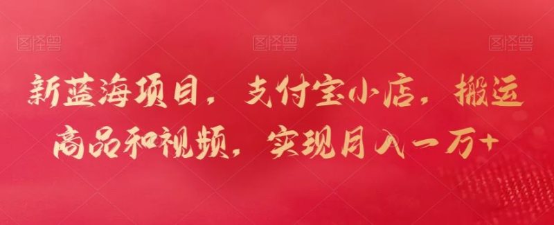 新蓝海项目,支付宝小店,搬运商品和视频,实现月入一万+【揭秘】-生财有道