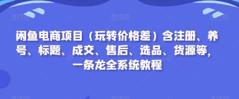 闲鱼电商项目(玩转价格差)含注册、养号、标题、成交、售后、选品、货源等,一条龙全系统教程-生财有道