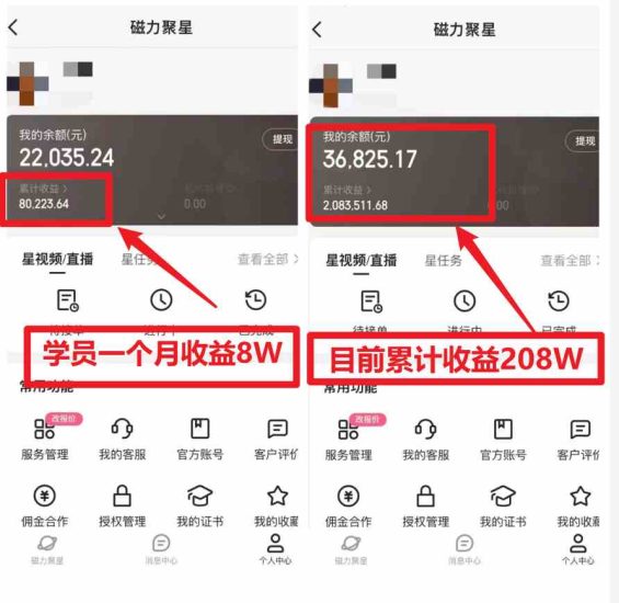 （9045期）2024全年可变现项目，一天收益至少2000+，小白上手快，普通人就要利用互…-生财有道