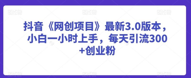 抖音《网创项目》最新3.0版本，小白一小时上手，每天引流300+创业粉【揭秘】-生财有道