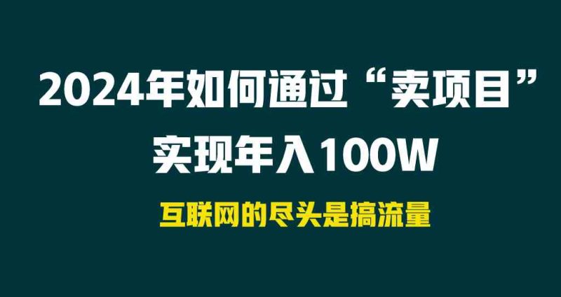 (9147期) 2024年如何通过“卖项目”实现年入100W-生财有道