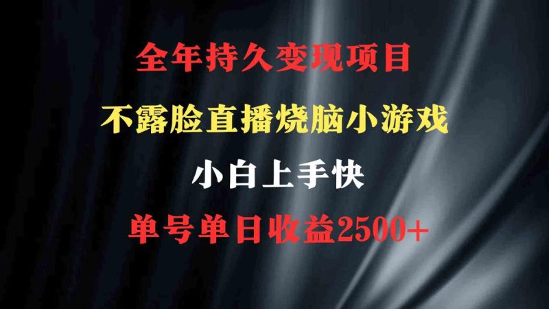（9168期）2024年 最优项目，烧脑小游戏不露脸直播  小白上手快 无门槛 一天收益2500+-生财有道