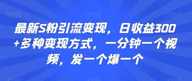 最新S粉引流变现,日收益300+多种变现方式,一分钟一个视频,发一个爆一个【揭秘】-生财有道