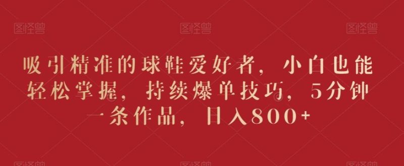 吸引精准的球鞋爱好者,小白也能轻松掌握,持续爆单技巧,5分钟一条作品,日入800+【揭秘】-生财有道