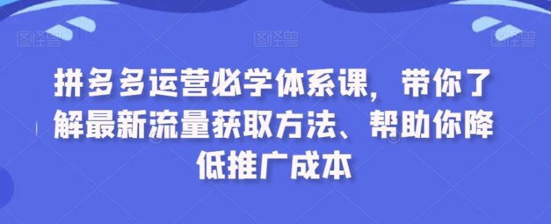 拼多多运营必学体系课,带你了解最新流量获取方法、帮助你降低推广成本-生财有道