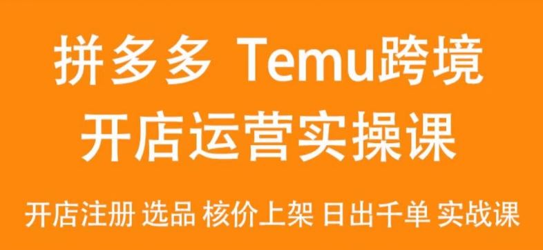 2024Temu最新玩法，Temu跨境开店运营实操课，开店注册/选品/核价上架/日出千单实战课-生财有道