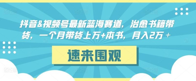抖音&视频号最新蓝海赛道，治愈书籍带货，一个月带货上万+本书，月入2万＋【揭秘】-生财有道