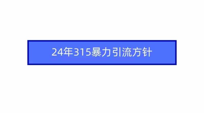 （9398期）2024年315暴力引流方针-生财有道