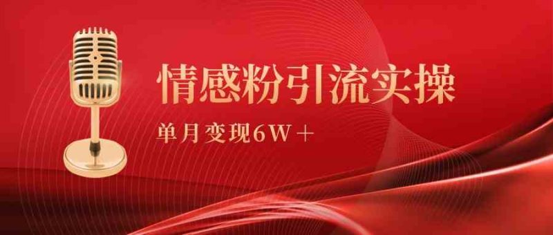 (9473期)单月变现6w+,情感粉引流变现实操课-生财有道