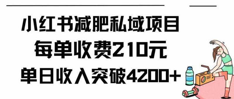 （9466期）小红书减肥私域项目每单收费210元单日成交20单，最高日入4200+-生财有道