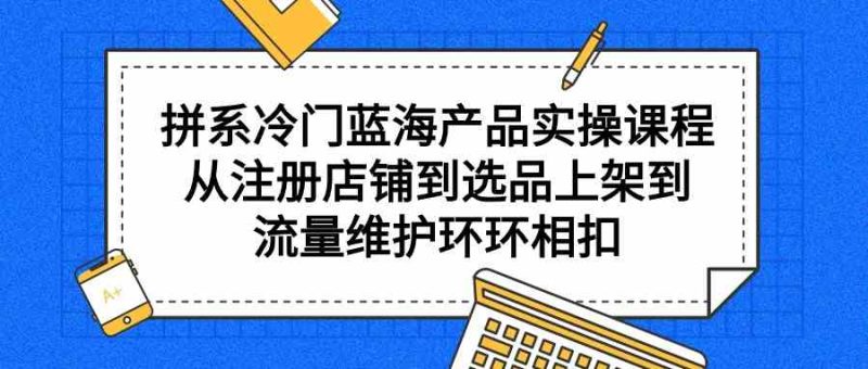 （9527期）拼系冷门蓝海产品实操课程，从注册店铺到选品上架到流量维护环环相扣-生财有道