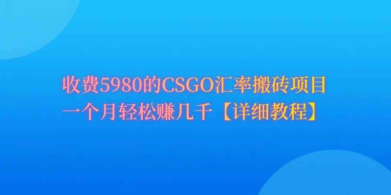 （9776期）CSGO装备搬砖，月综合收益率高达60%，你也可以！-生财有道