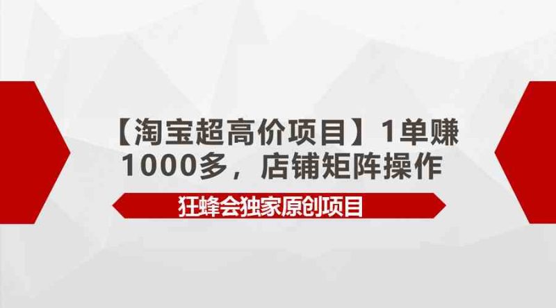 （9849期）【淘宝超高价项目】1单赚1000多，店铺矩阵操作-生财有道