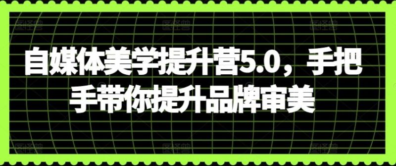 自媒体美学提升营5.0，手把手带你提升品牌审美-生财有道