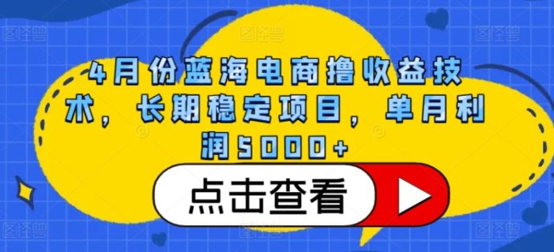 4月份蓝海电商撸收益技术，长期稳定项目，单月利润5000+【揭秘】-生财有道