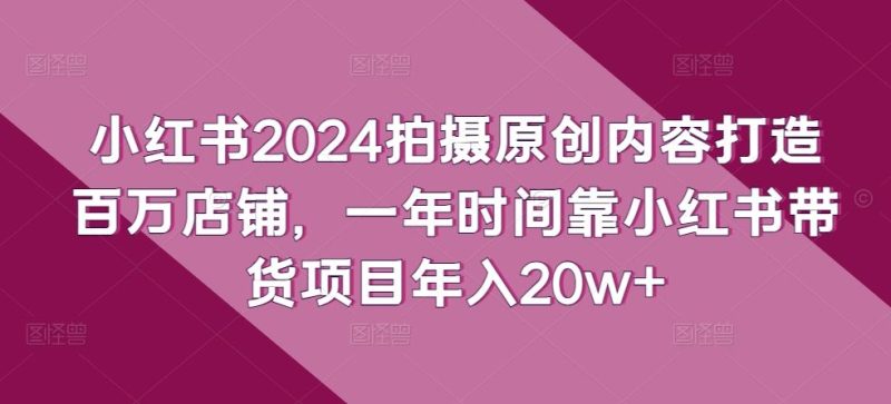 小红书2024拍摄原创内容打造百万店铺，一年时间靠小红书带货项目年入20w+-生财有道